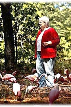 Margaret Maron "gifted" with Flamingos