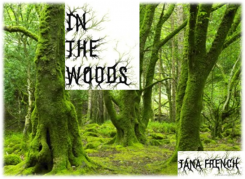In The Woods by Tana French graphic